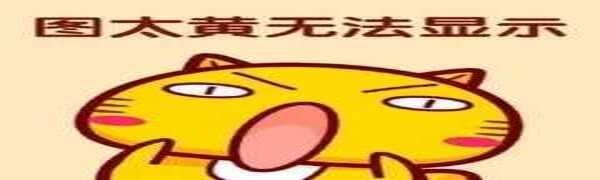 一个好玩的订阅源