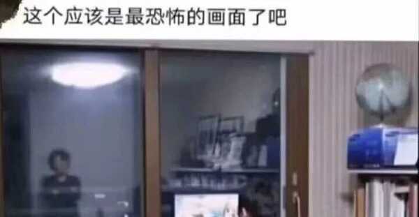 青桔网(galgame网站)
