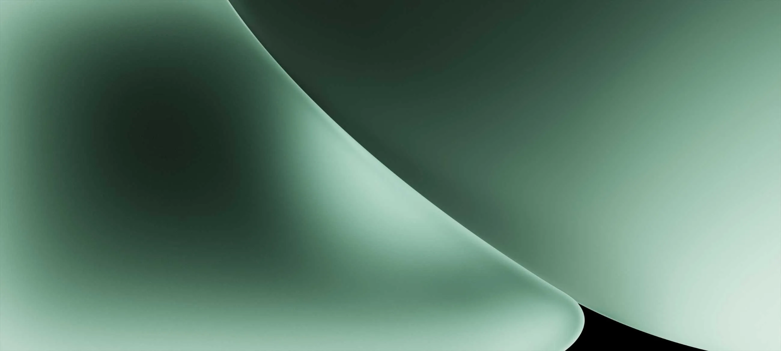 1000013731.webp