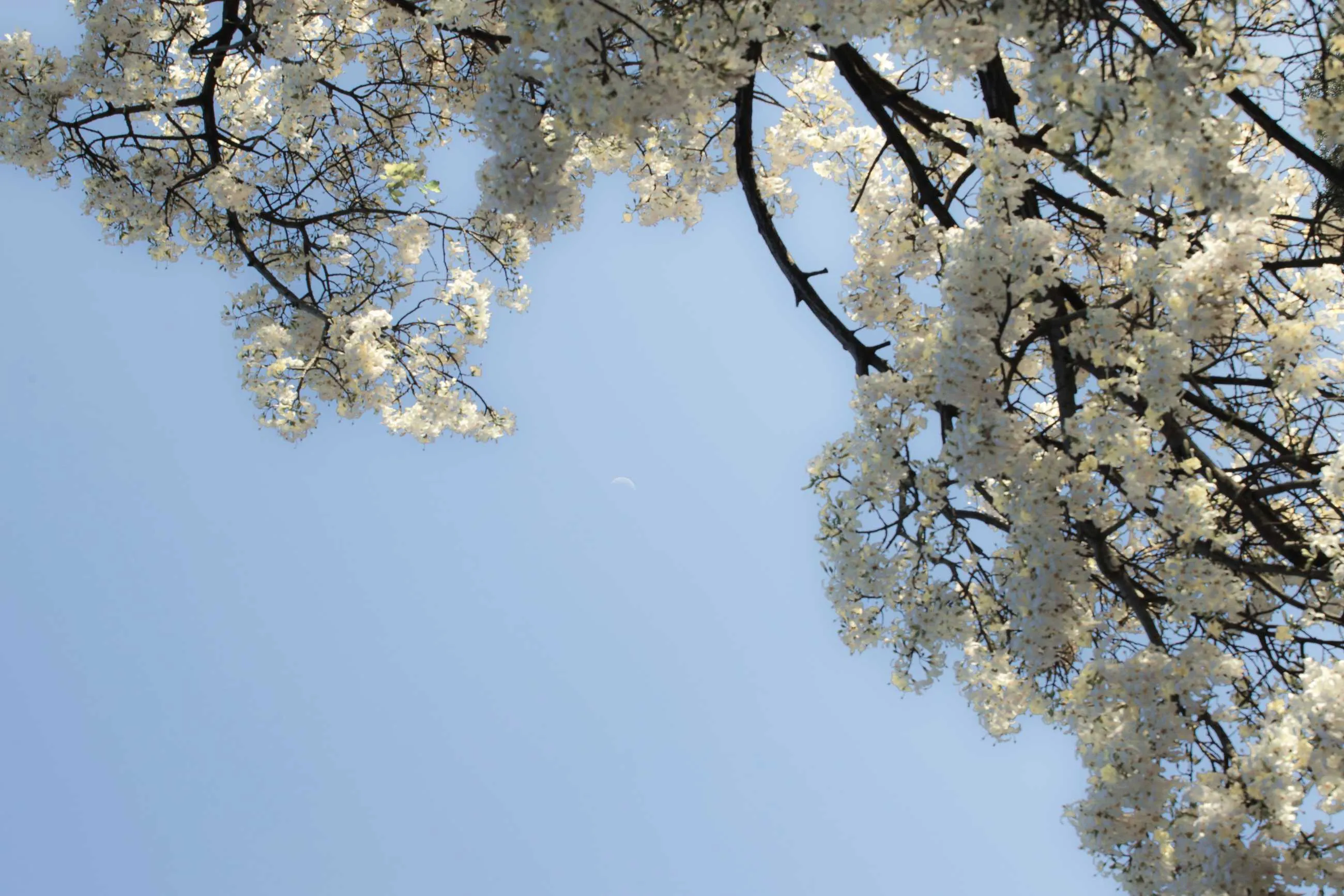 1000013743.webp