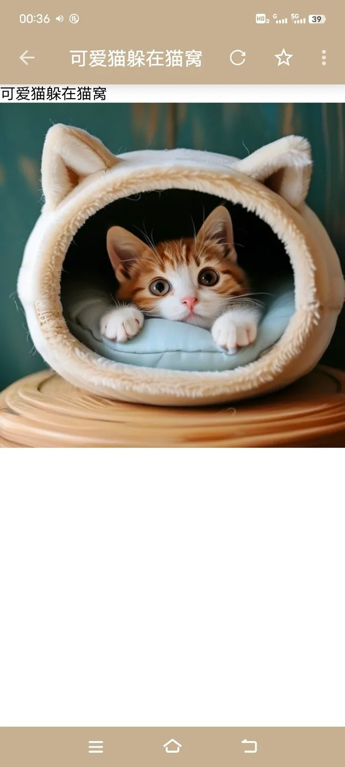 Screenshot_20250225_003620.webp