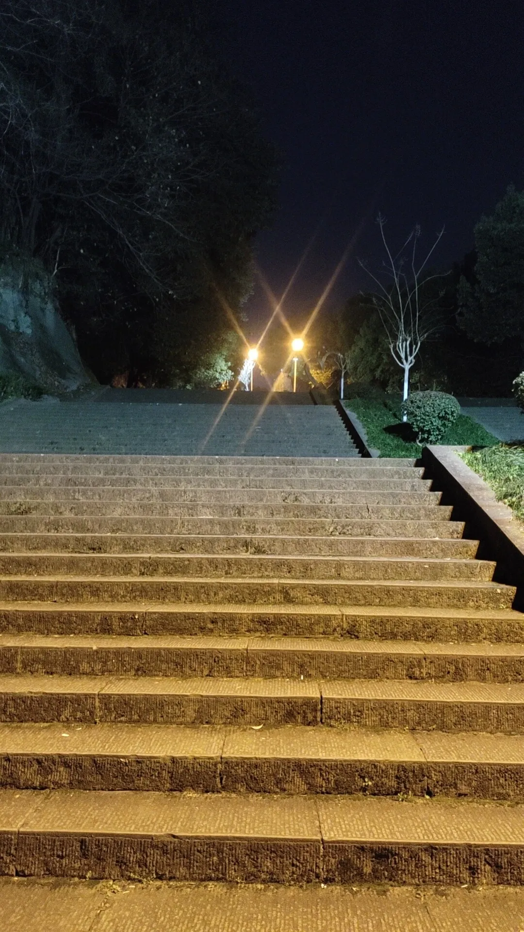 wx_camera_1740491612940.webp