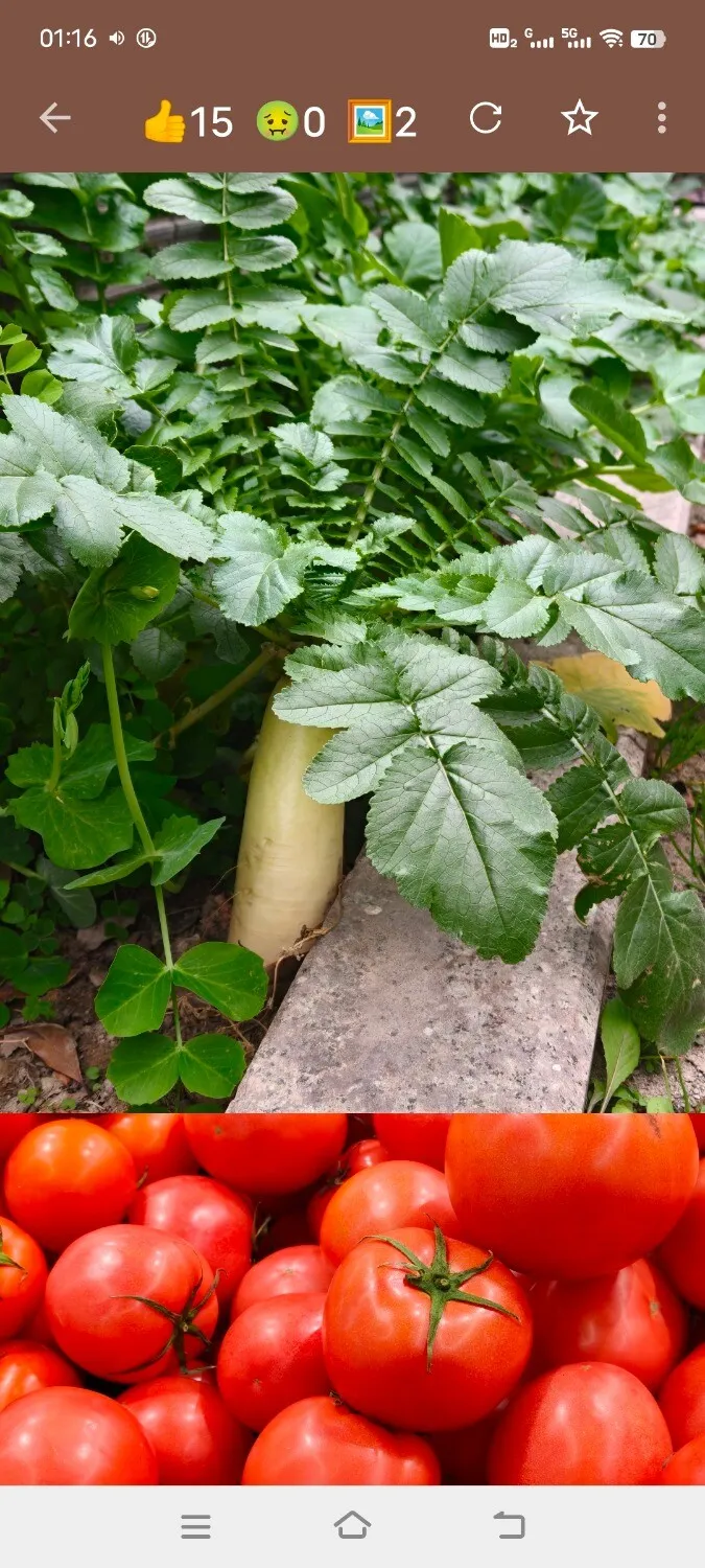 Screenshot_20250227_011625.webp