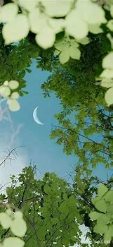 10474.webp