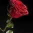 10480.webp
