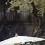 10481.webp