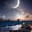 10479.webp