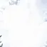 10524.webp