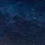 10528.webp