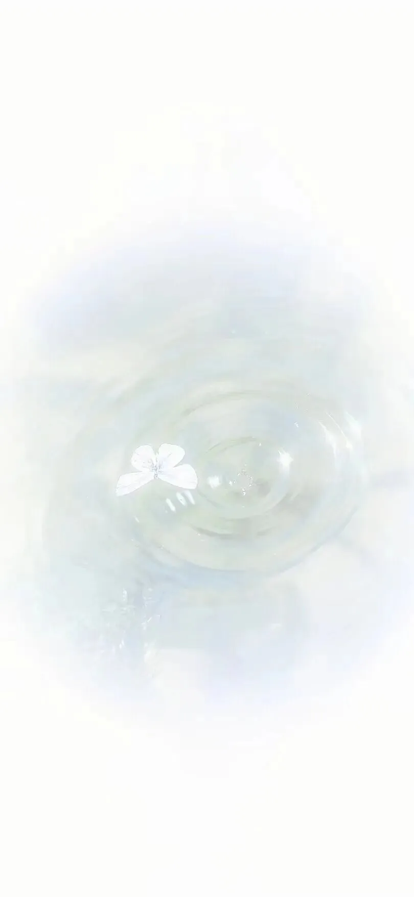 1000009197.webp