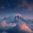 10293.webp