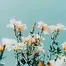 10298.webp