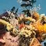 10299.webp