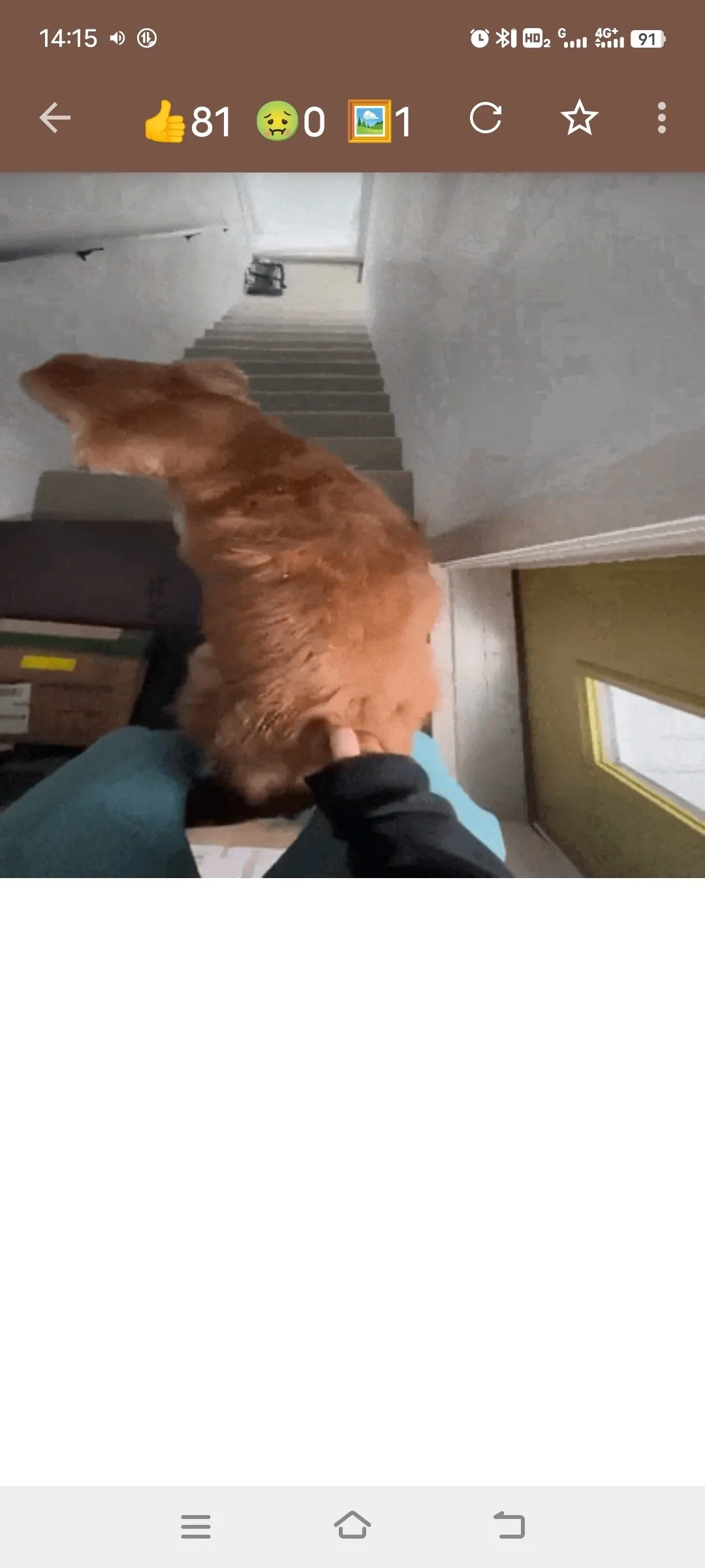 Screenshot_20250301_141505.webp