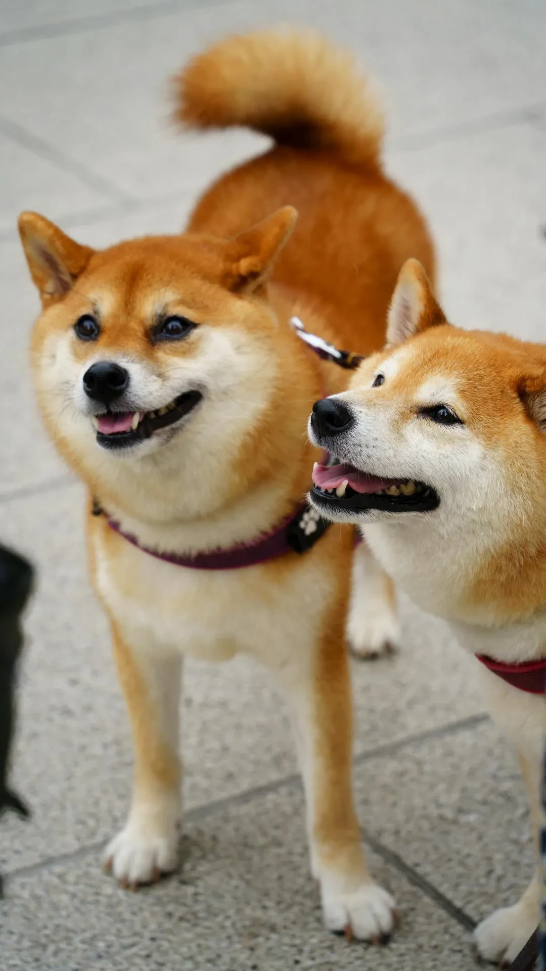 1000021026.webp