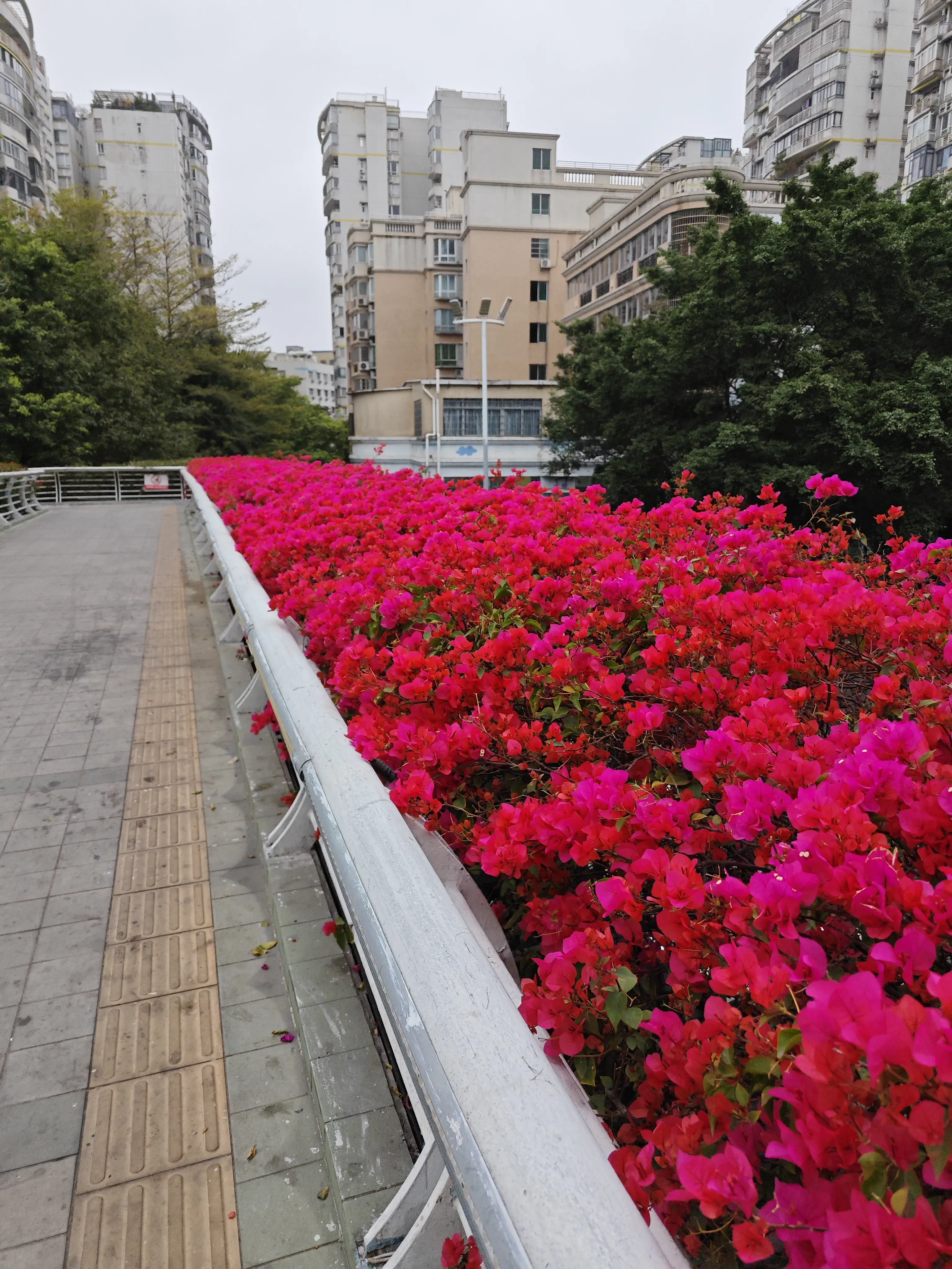 IMG_20250221_083609.webp