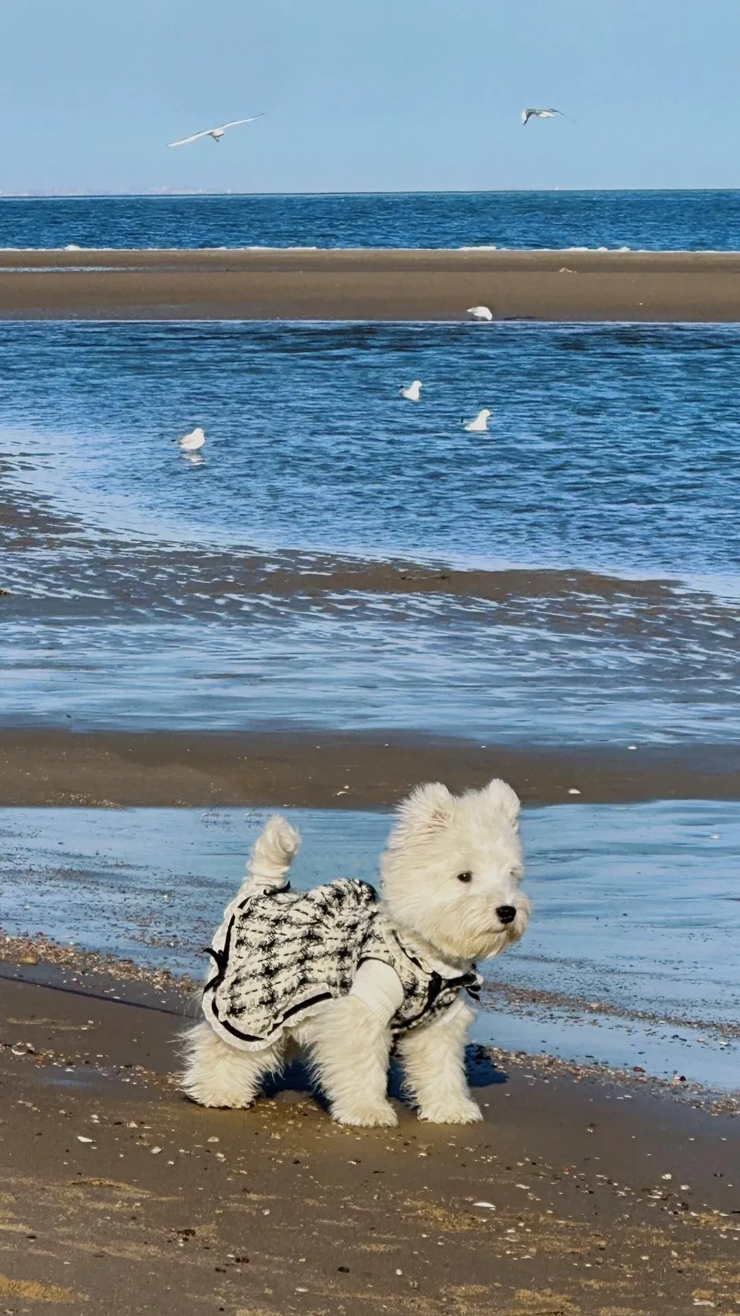 1000021148.webp