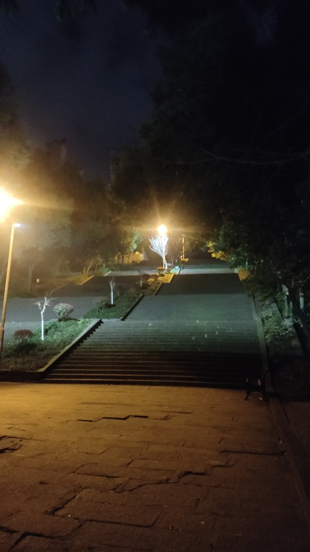 wx_camera_1742046518185.webp