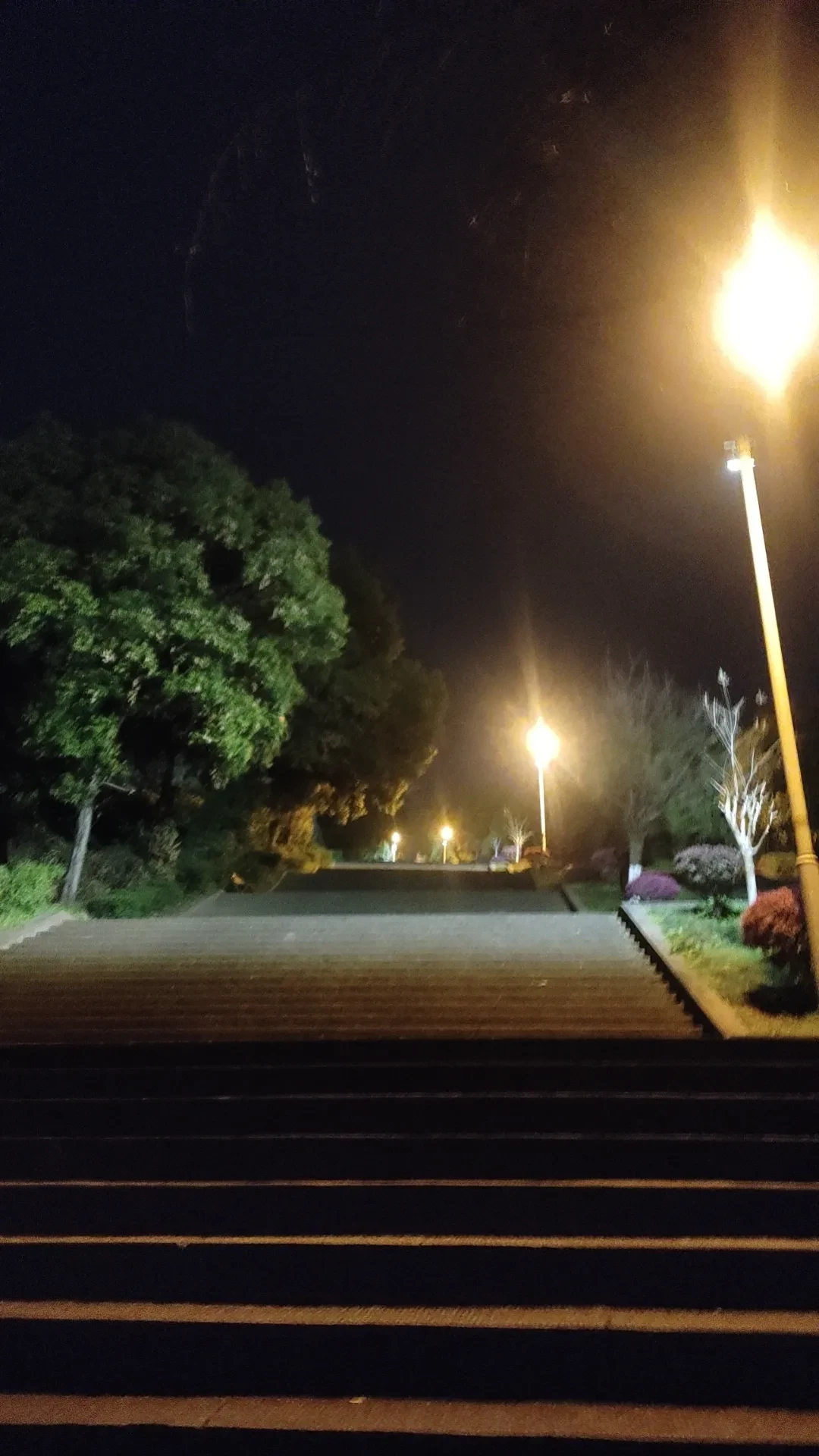 wx_camera_1742394383398.webp
