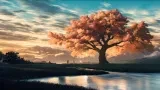 1000677496.webp