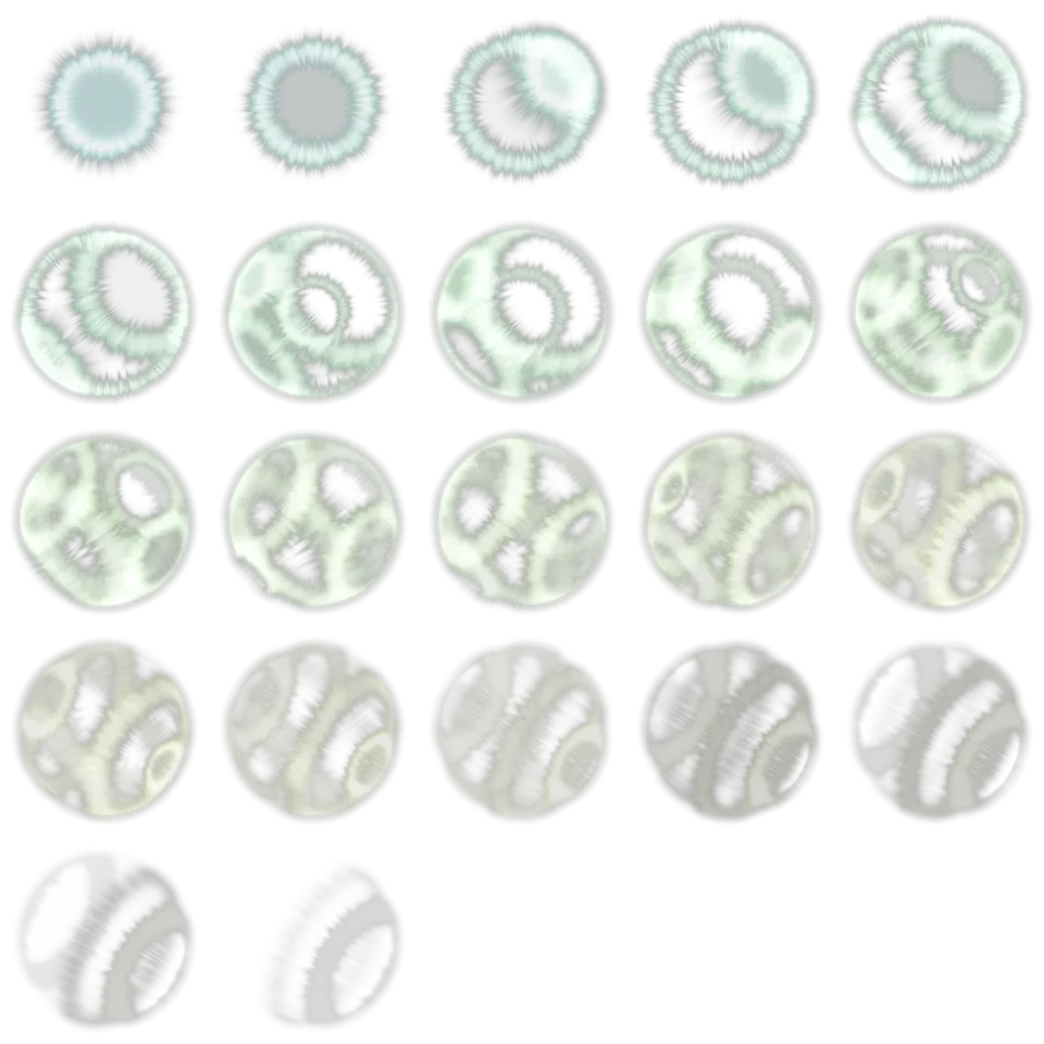 1001034539.webp