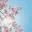 10369.webp
