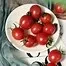 10383.webp