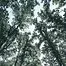 10163.webp