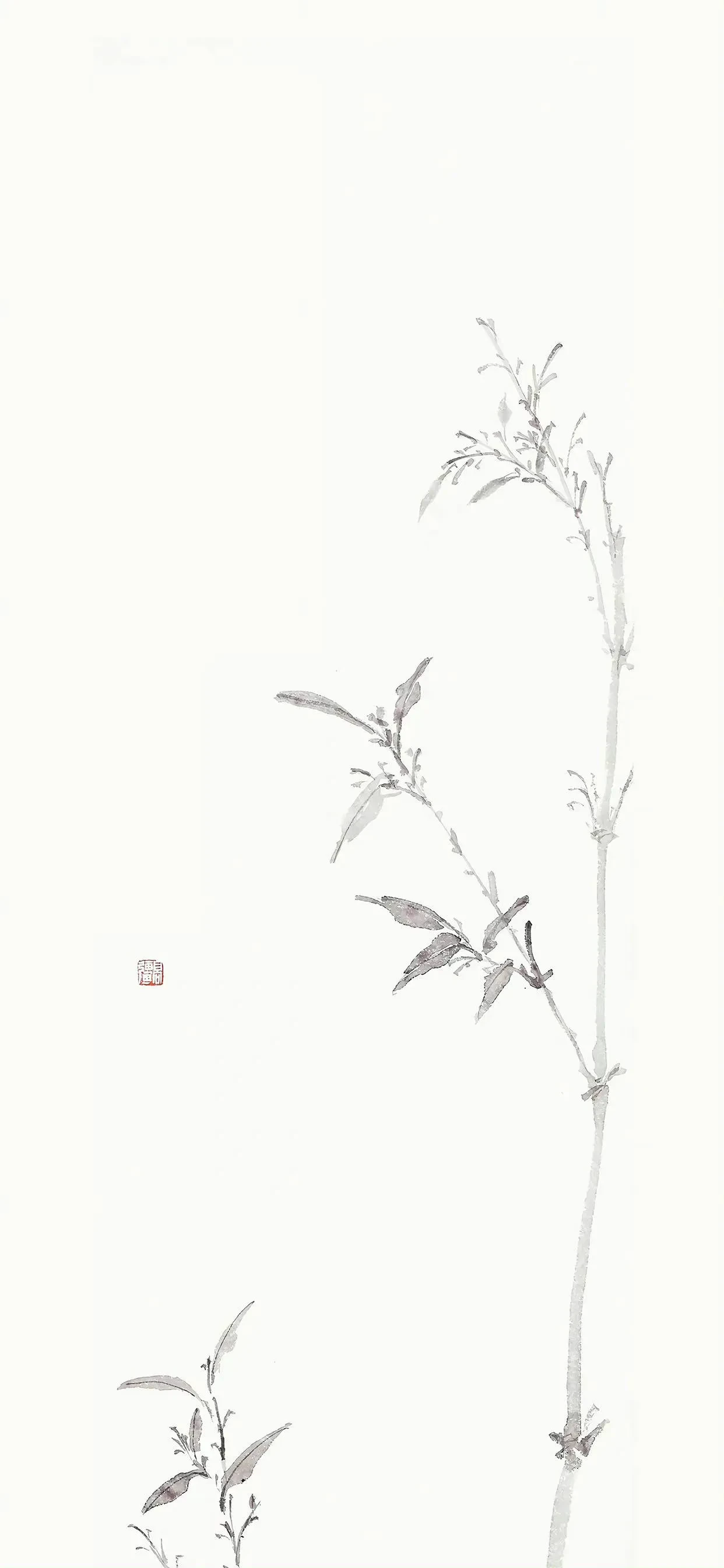 4iuusqgcr5spoj7t4tafu1nxp.webp