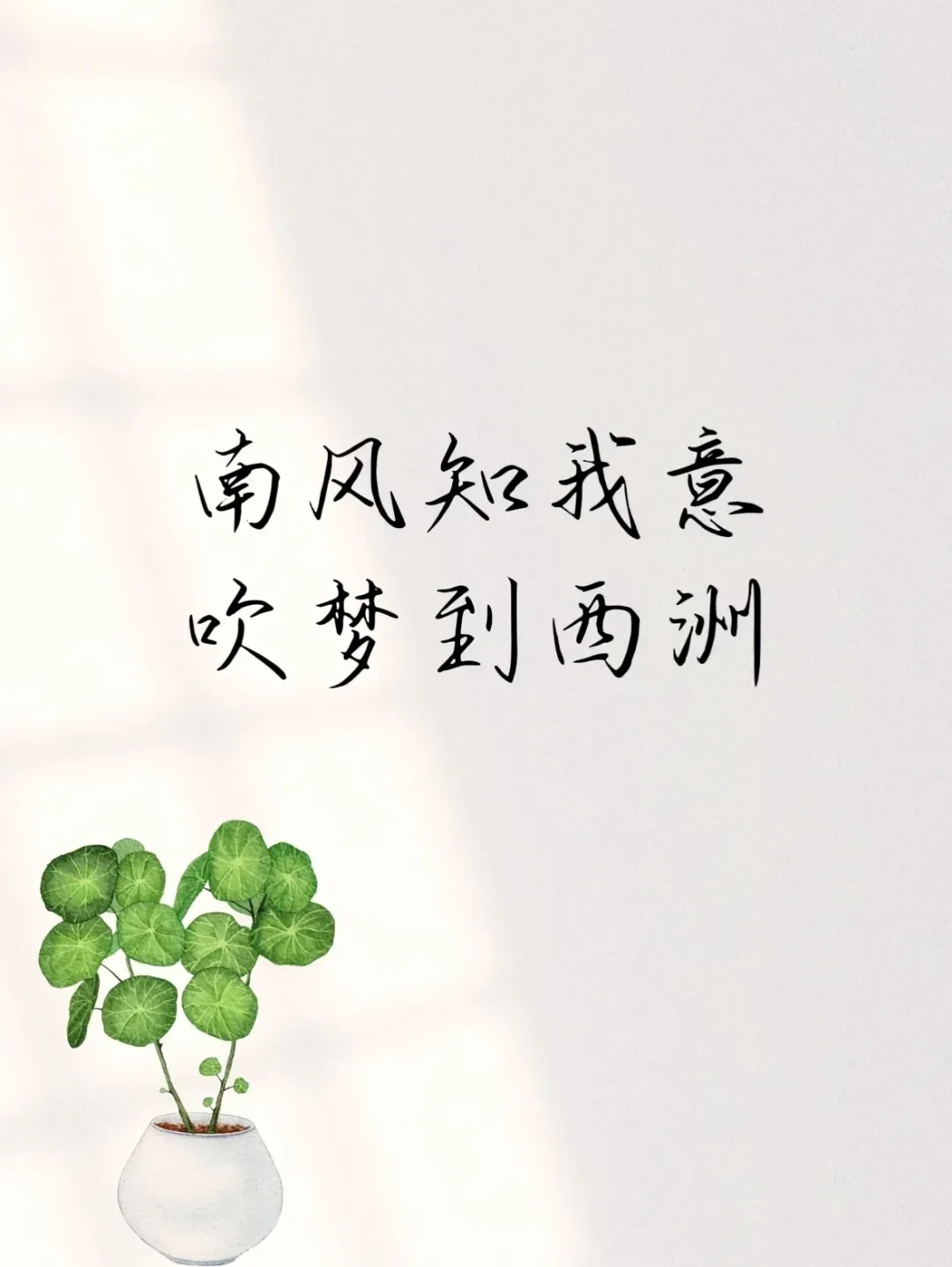 1000036431.webp