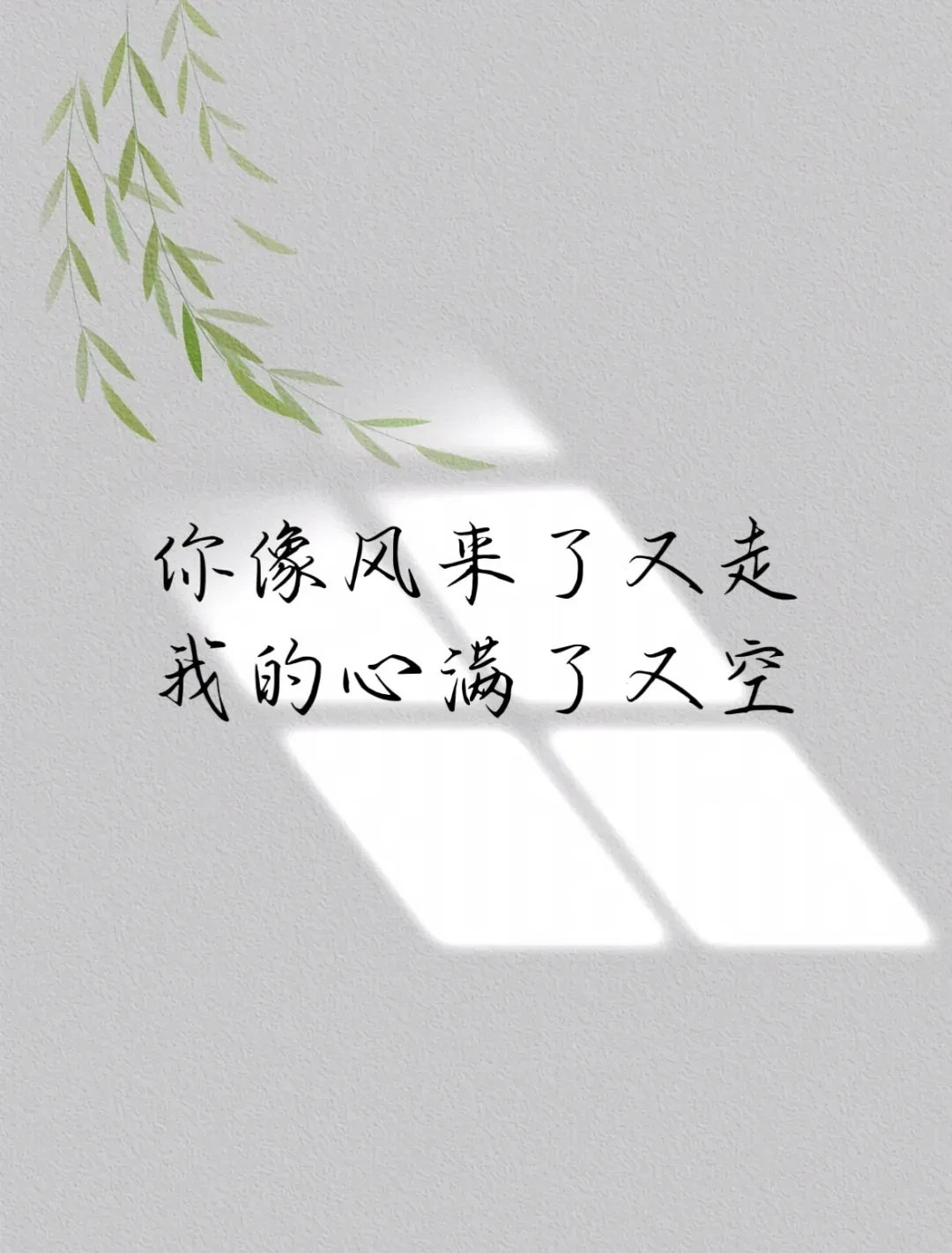 1000036429.webp