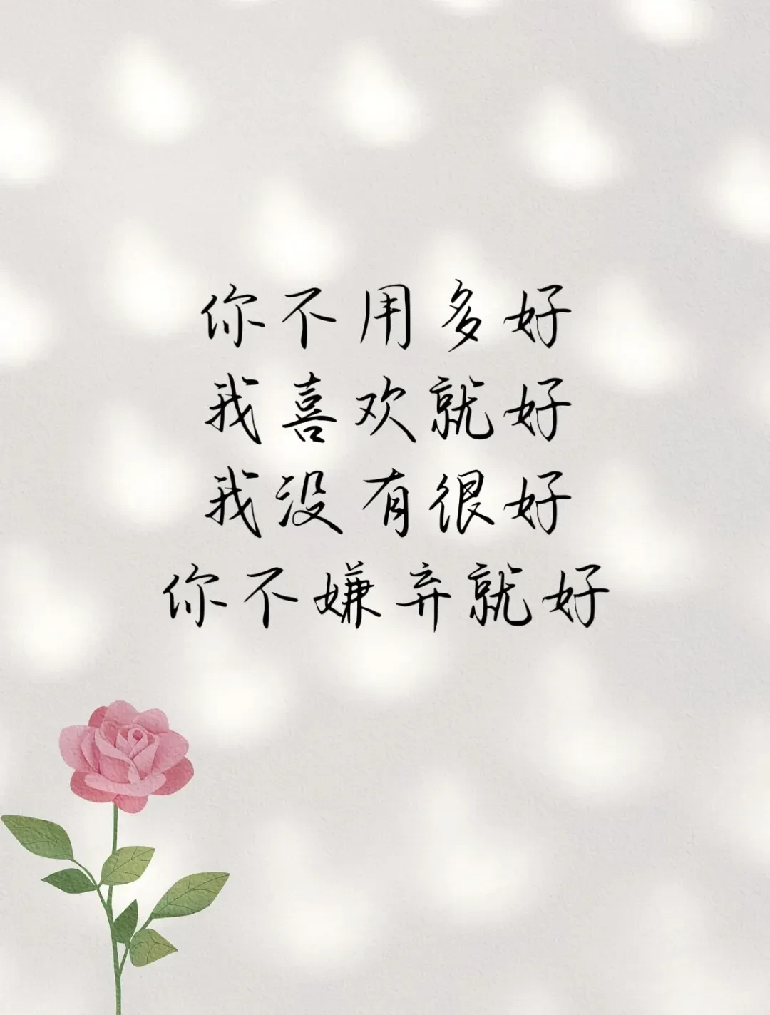 1000036428.webp
