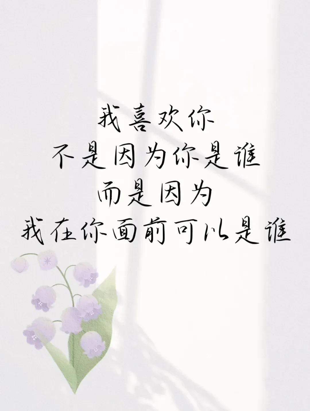 1000036426.webp