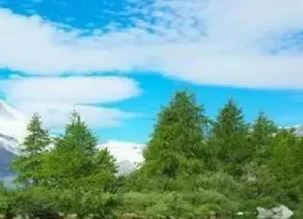 Screenshot_2025-06-01-00-16-26-99_8b7aa5be40a89c6a7df806c347da652a.webp