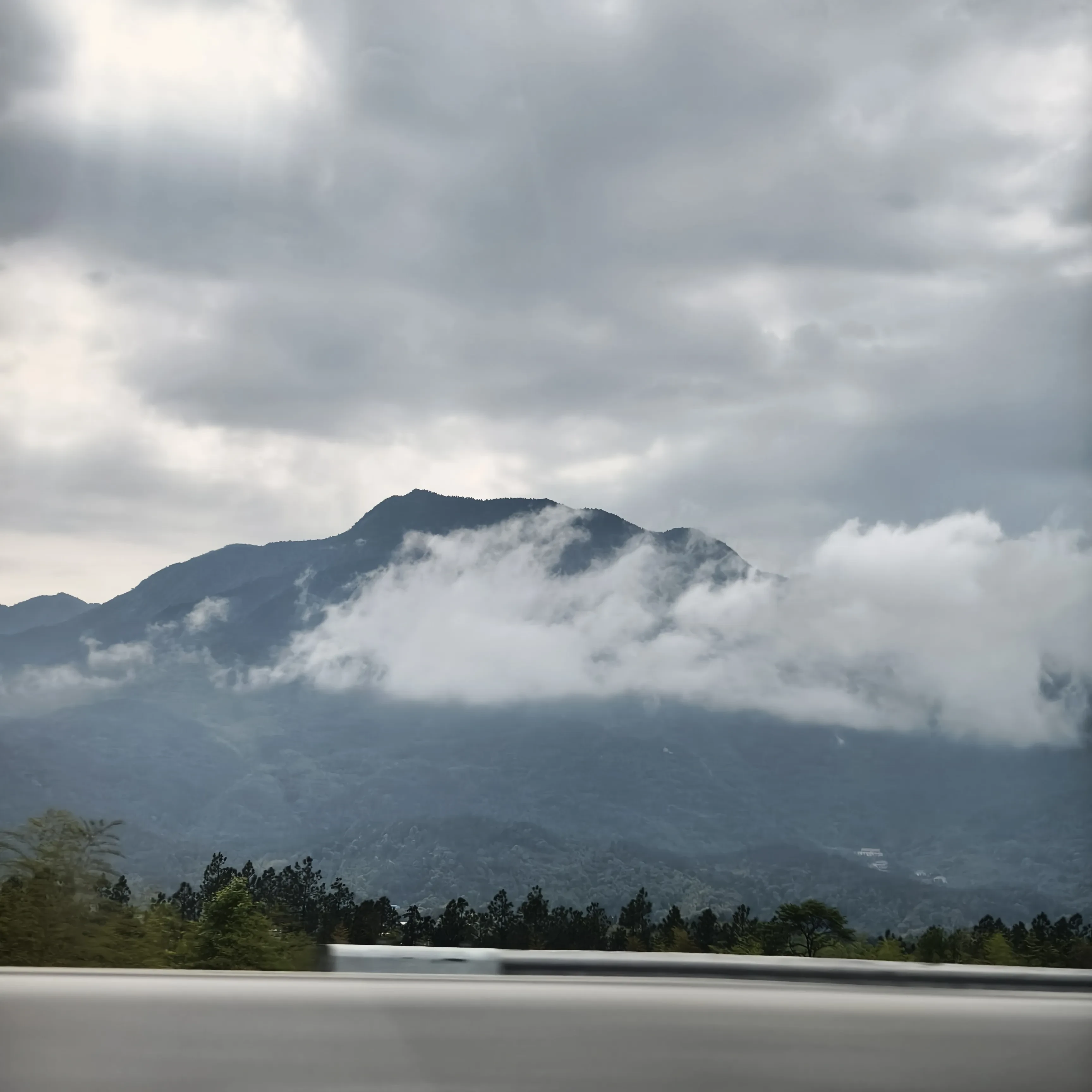 IMG_20250419_150833.webp