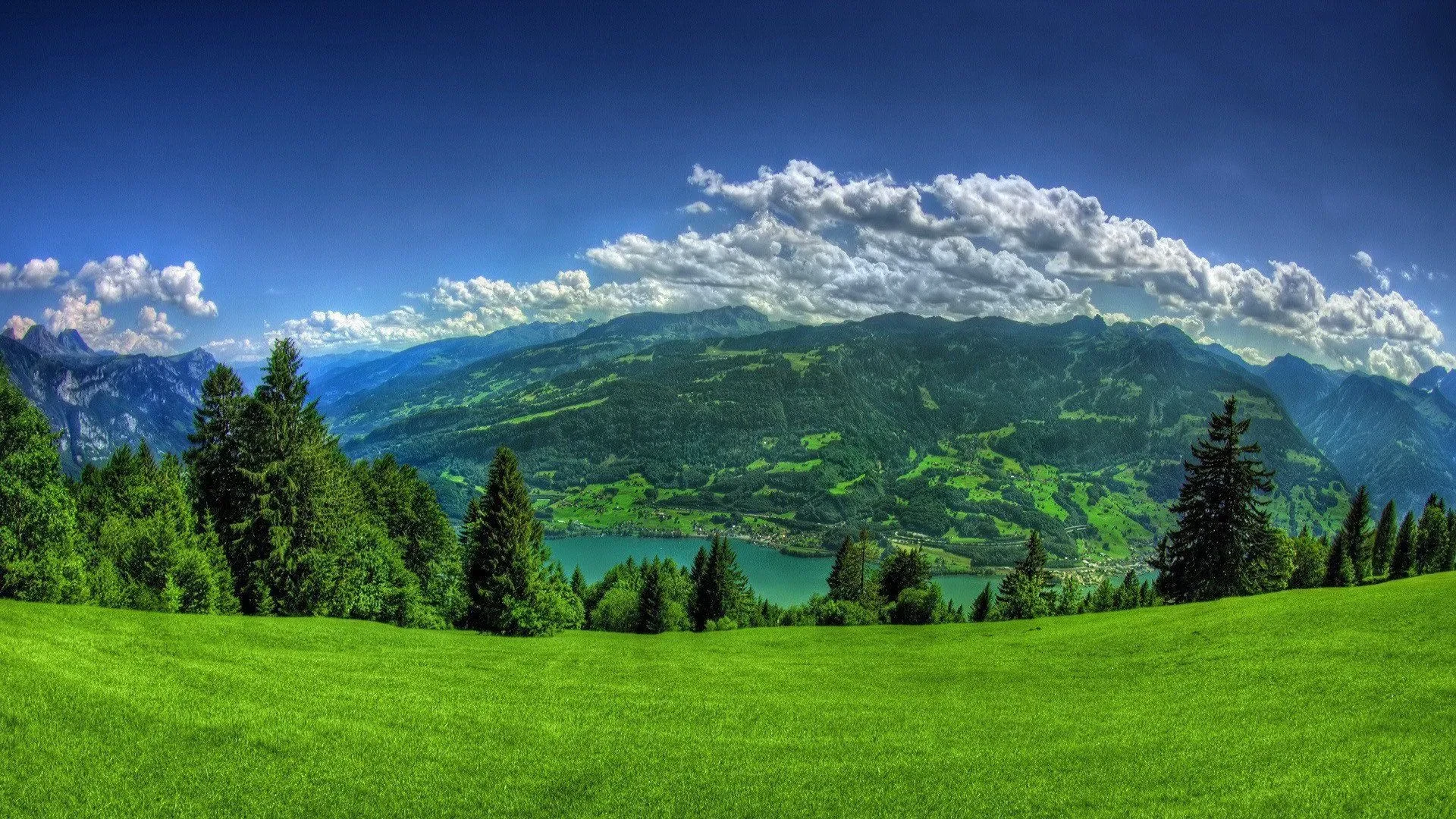 t01a7607213f7035cf6.webp