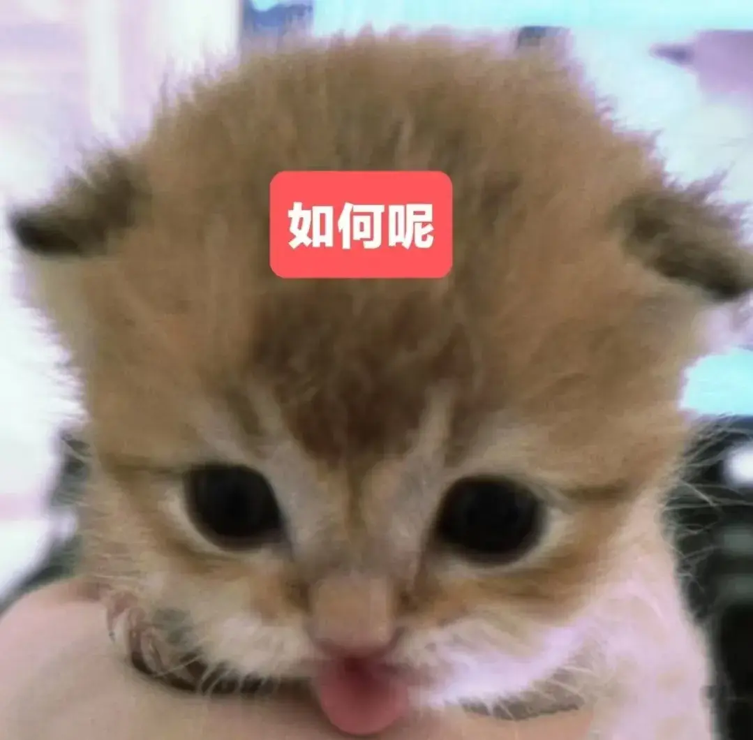 Screenshot_20250828_183950.webp